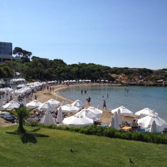 Queen Aphrodite Hotel Karpasa エクステリア 写真